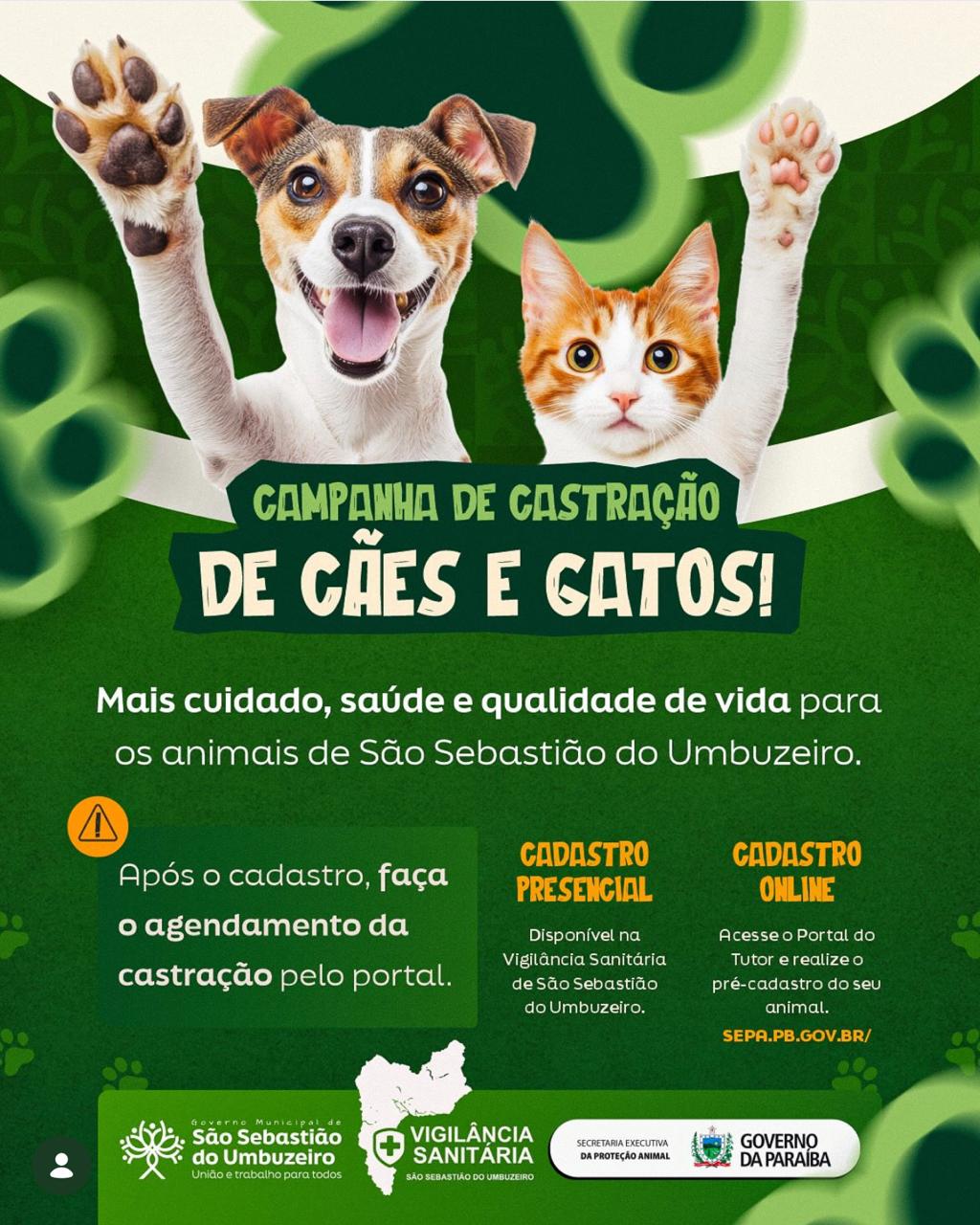Prefeitura de São Sebastião do Umbuzeiro abre inscrições para Programa de Castração de Cães e Gatos